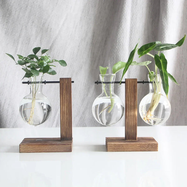 VASO PLANTAS DE BULBO TRANSPARENTE COM SUPORTE DE MADEIRA